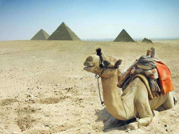 Giza-Pyramids-Egypt (2)